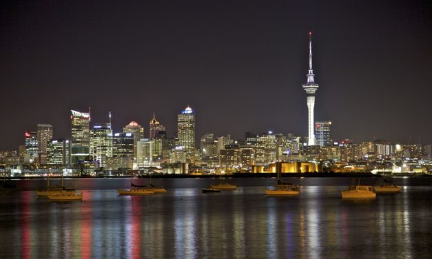 Nature Island, Lantern Festival, Charity Race in Auckland